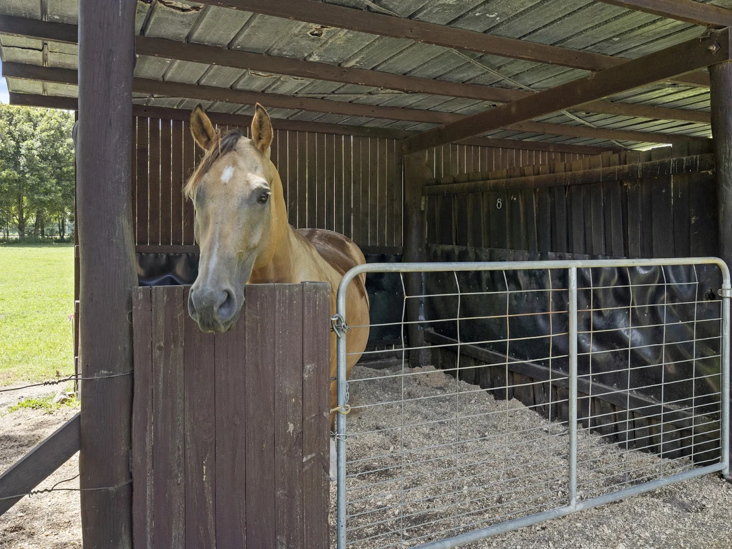Additional image 41 of 14 Adcocks Road, Stokers Siding NSW 2484