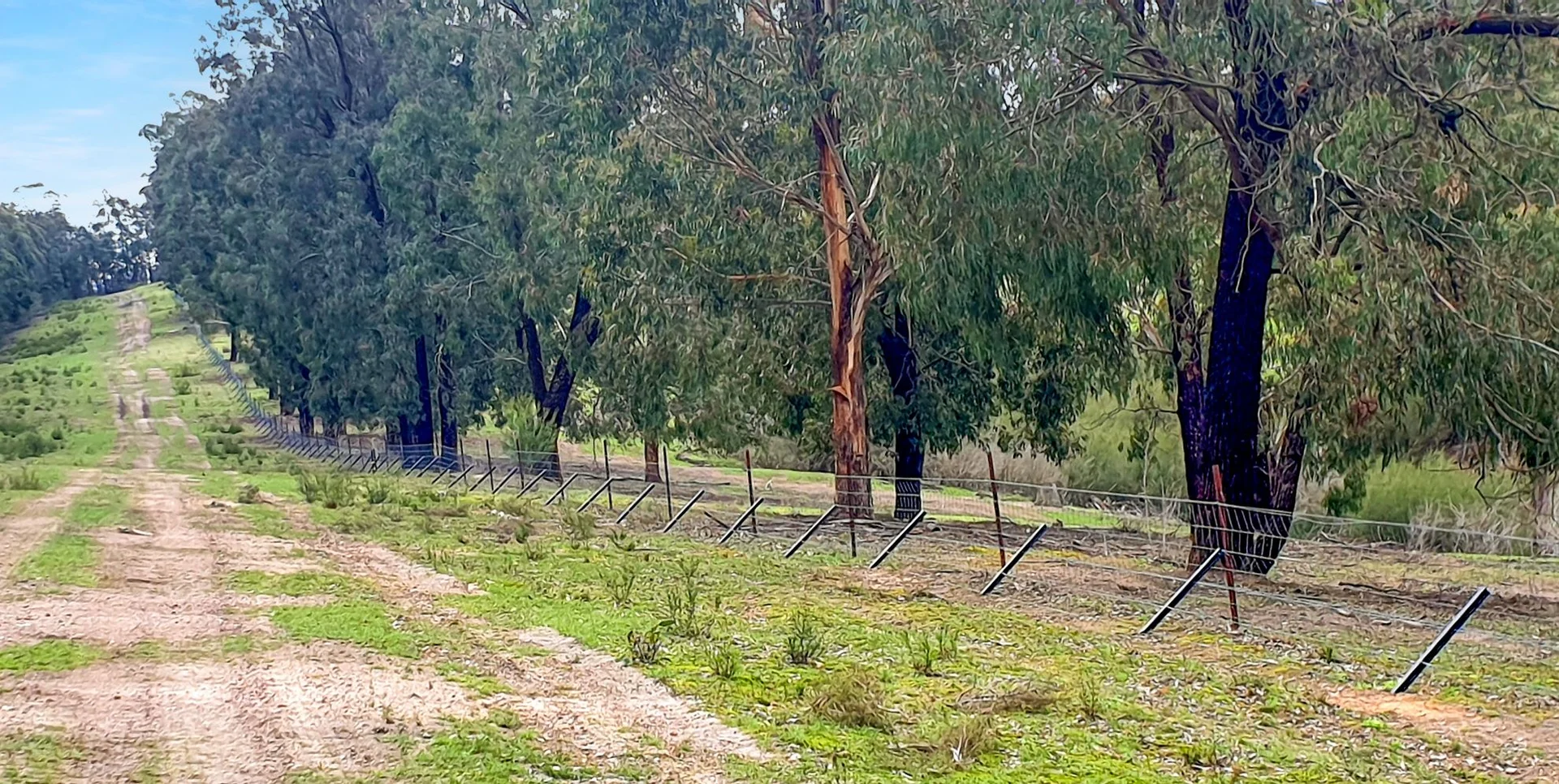 Additional image 23 of 151 Wattle Hill Road, Buchan South VIC 3885