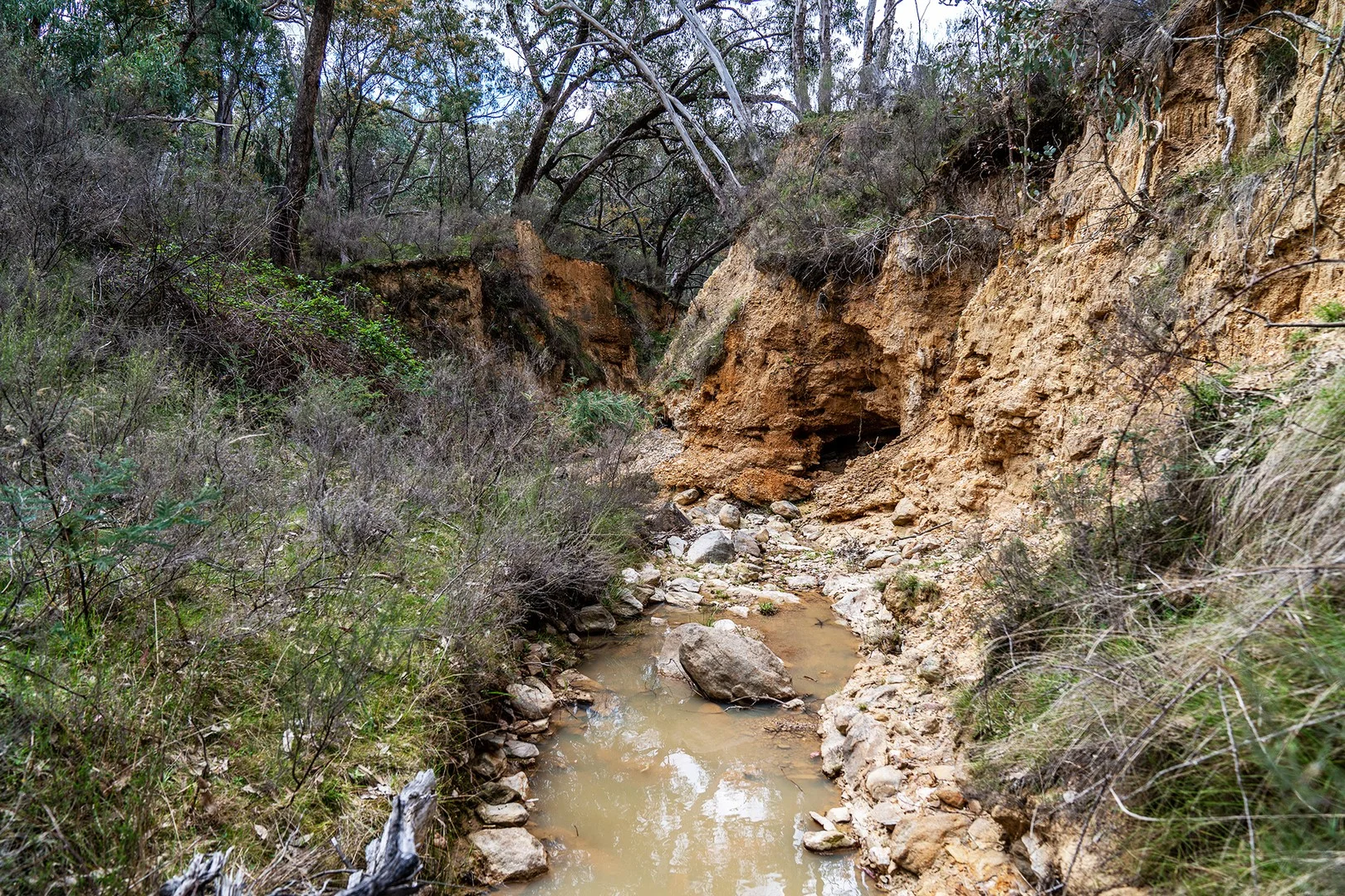 125 Dirt Hole Creek Road, Mudgee NSW 2850