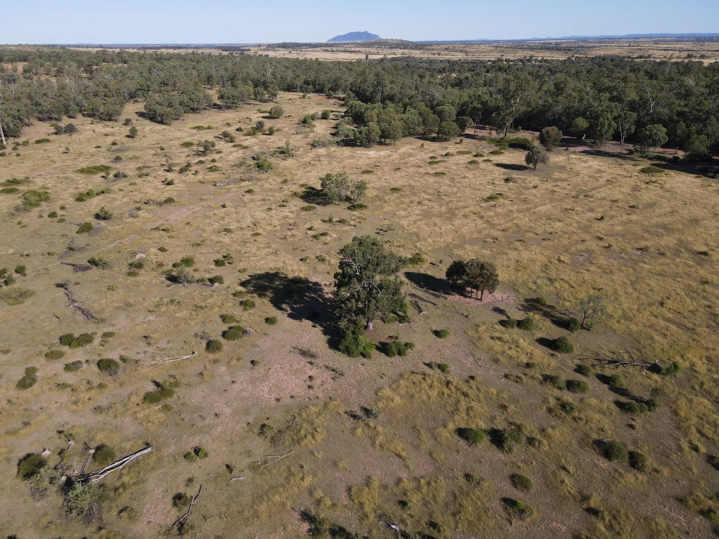 Additional image 9 of 780 Olinda Rd, Kokotungo QLD 4702