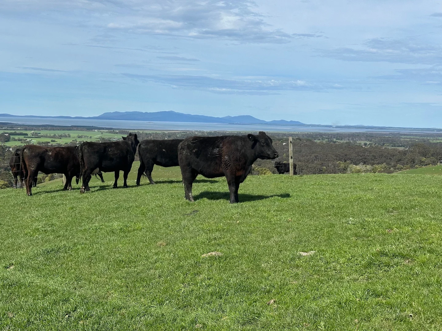 Additional image 4 of 3655 South Gippsland Highway, Foster VIC 3960