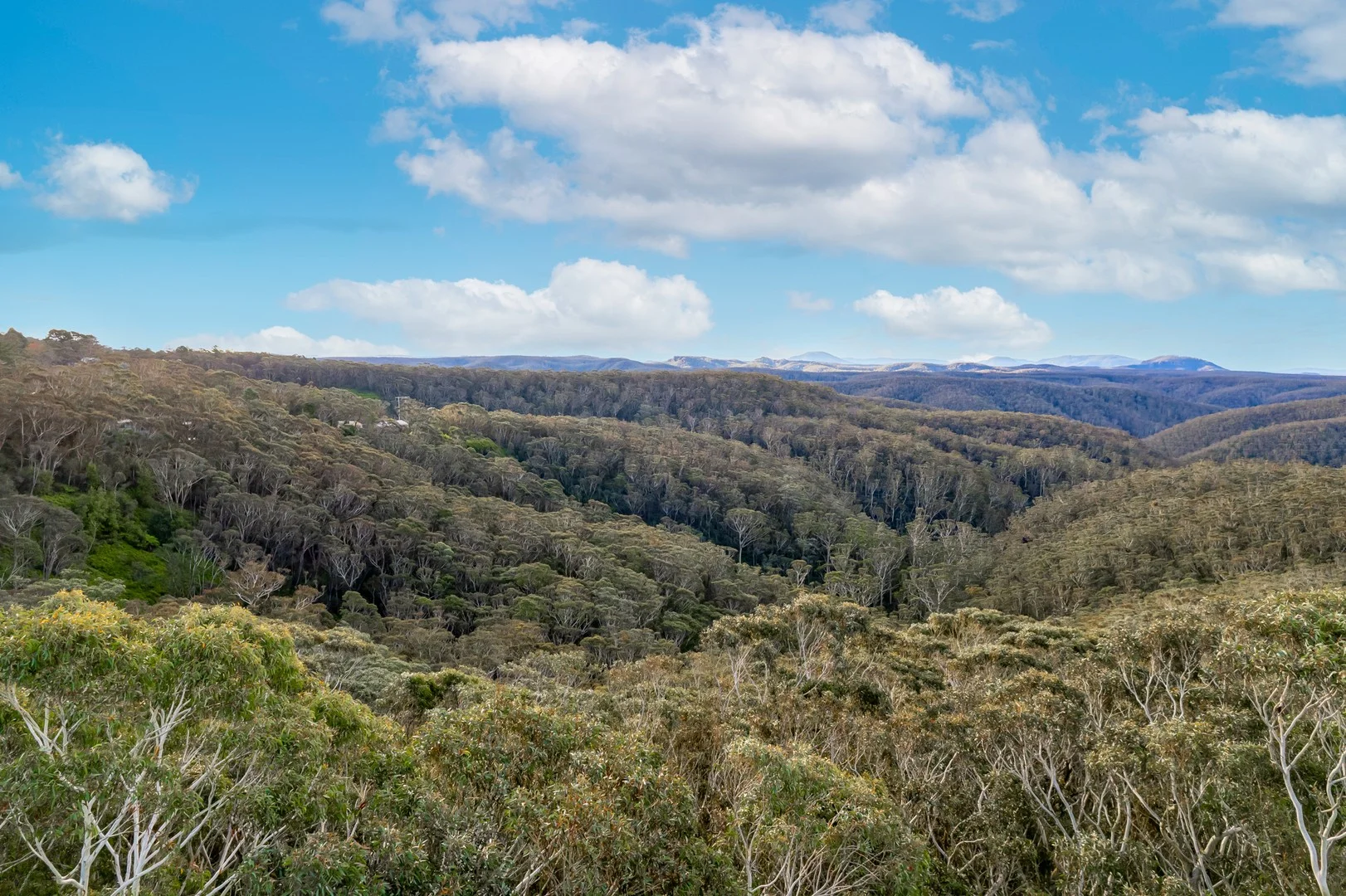 Additional image 5 of 66-68 Henderson Road, Wentworth Falls NSW 2782