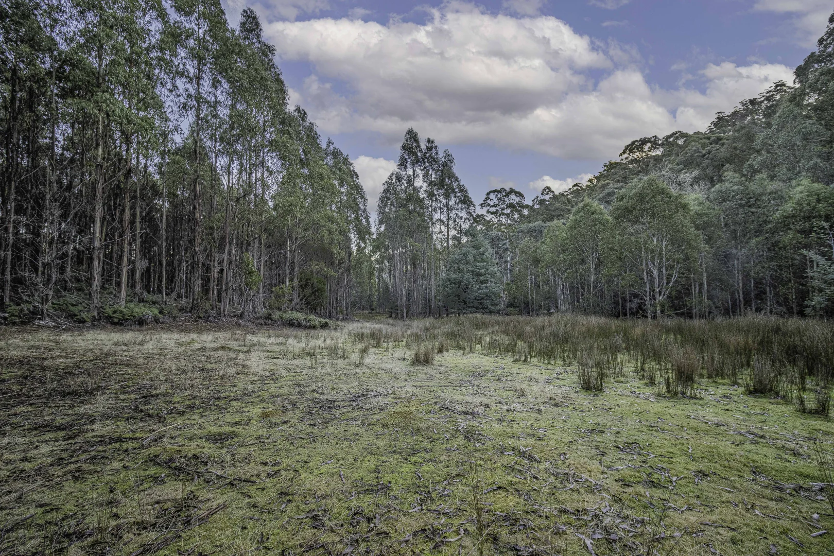 Additional image 8 of Judbury TAS 7109