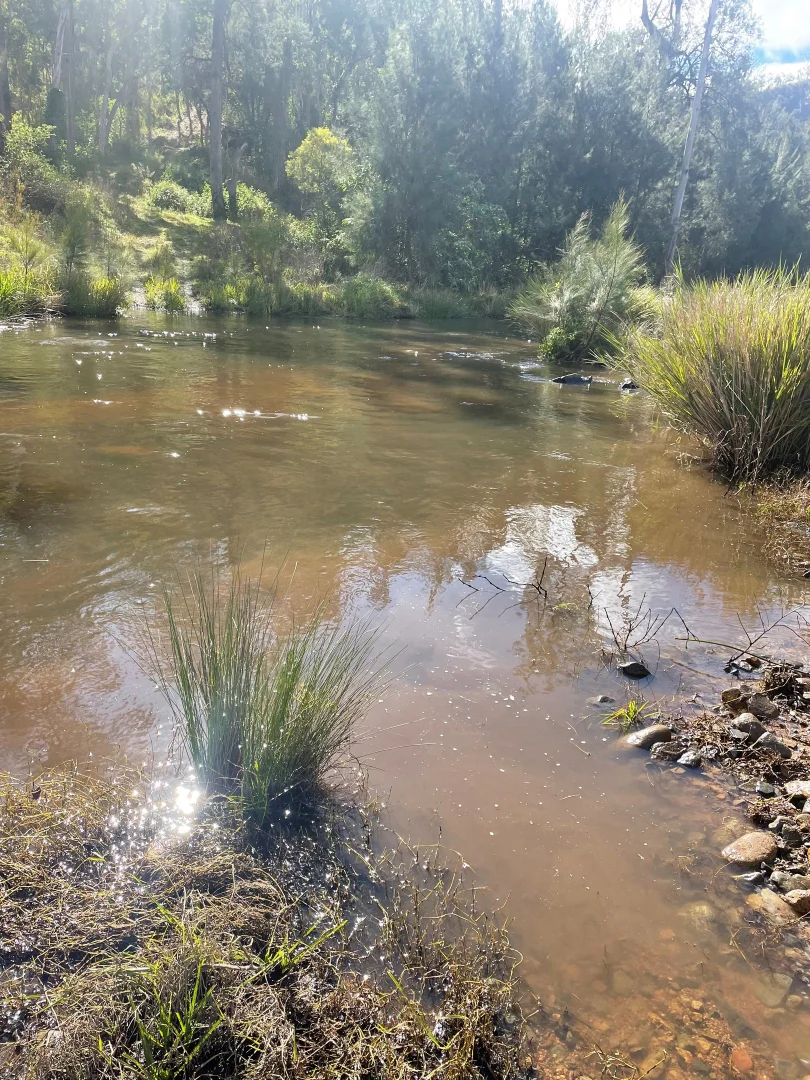 Additional image 8 of Lot 16 Gilgurry, Rivertree NSW 2372