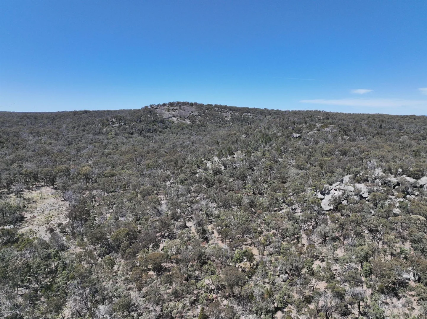 Additional image 27 of Lot 1 Brusharbers Road, Tenterfield NSW 2372