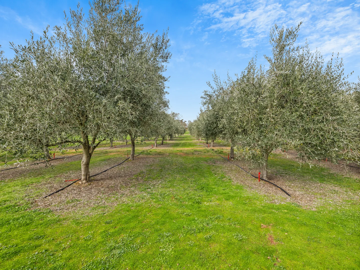 Additional image 18 of 2271 Snow Road, Markwood VIC 3678