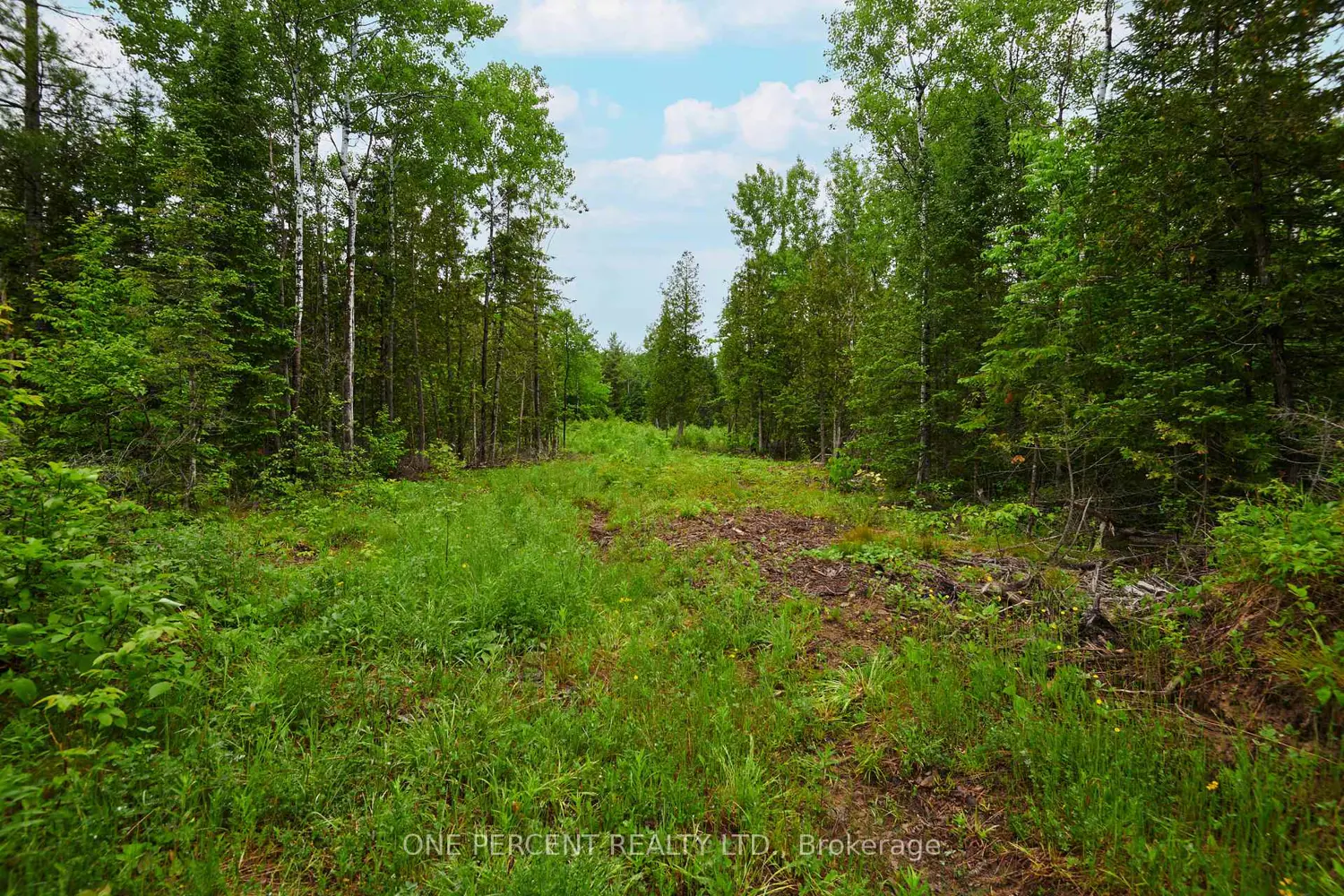 Additional image 6 of 622 Kings Creek Road