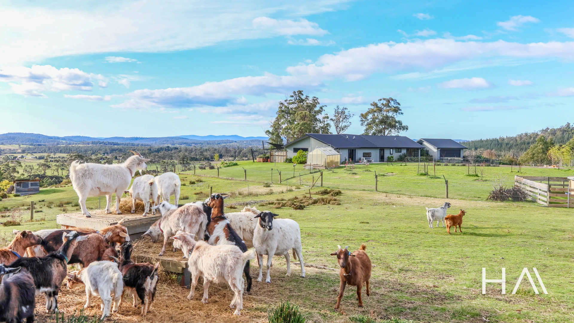 Additional image 6 of 128 Long Plains Road, Exeter TAS 7275