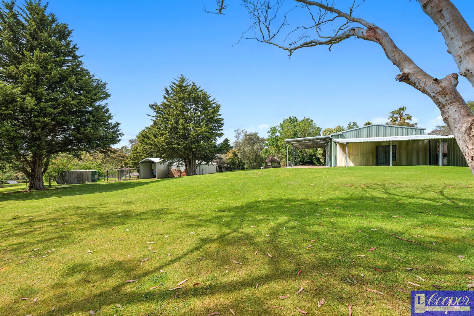 Additional image 14 of 124 Bungower Road, Somerville VIC 3912