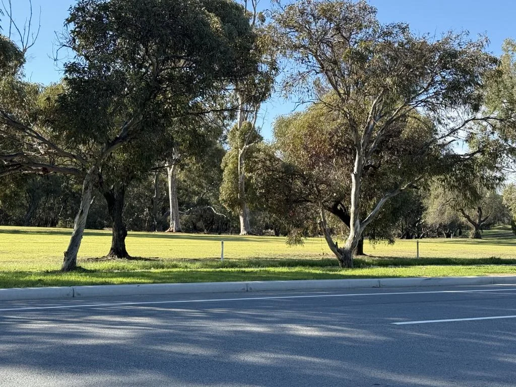 Additional image 6 of 144 Jerilderie Street, Jerilderie NSW 2716