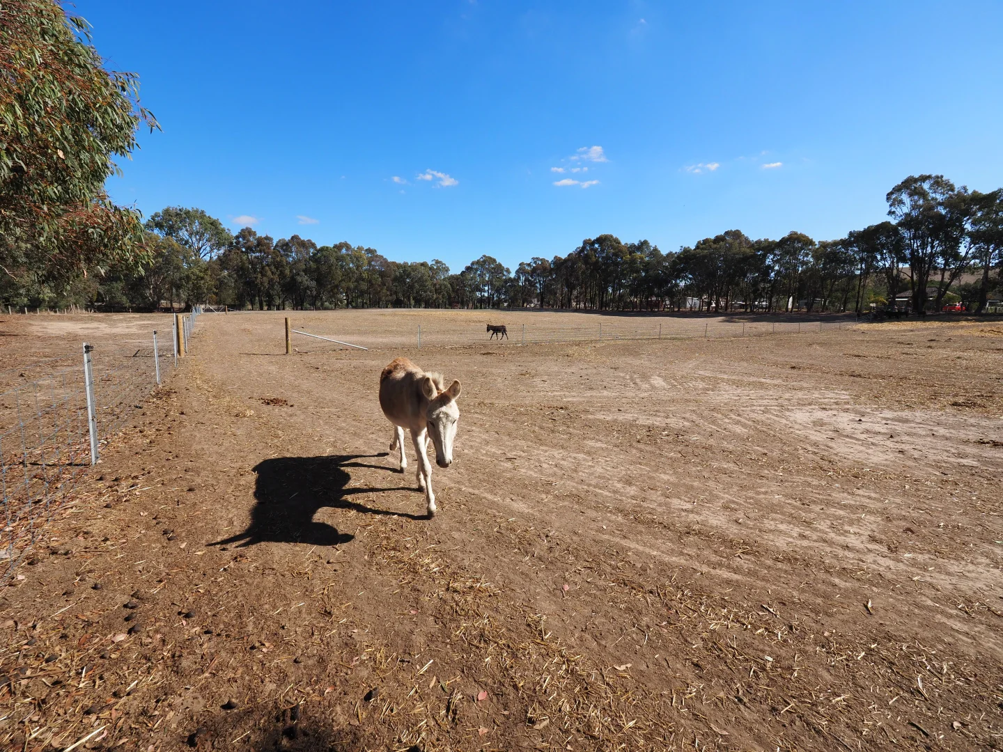Additional image 10 of Ennis Street, Amphitheatre VIC 3468
