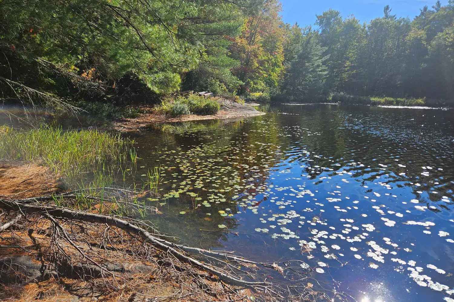 Additional image 11 of 1112 Sam Cook Road