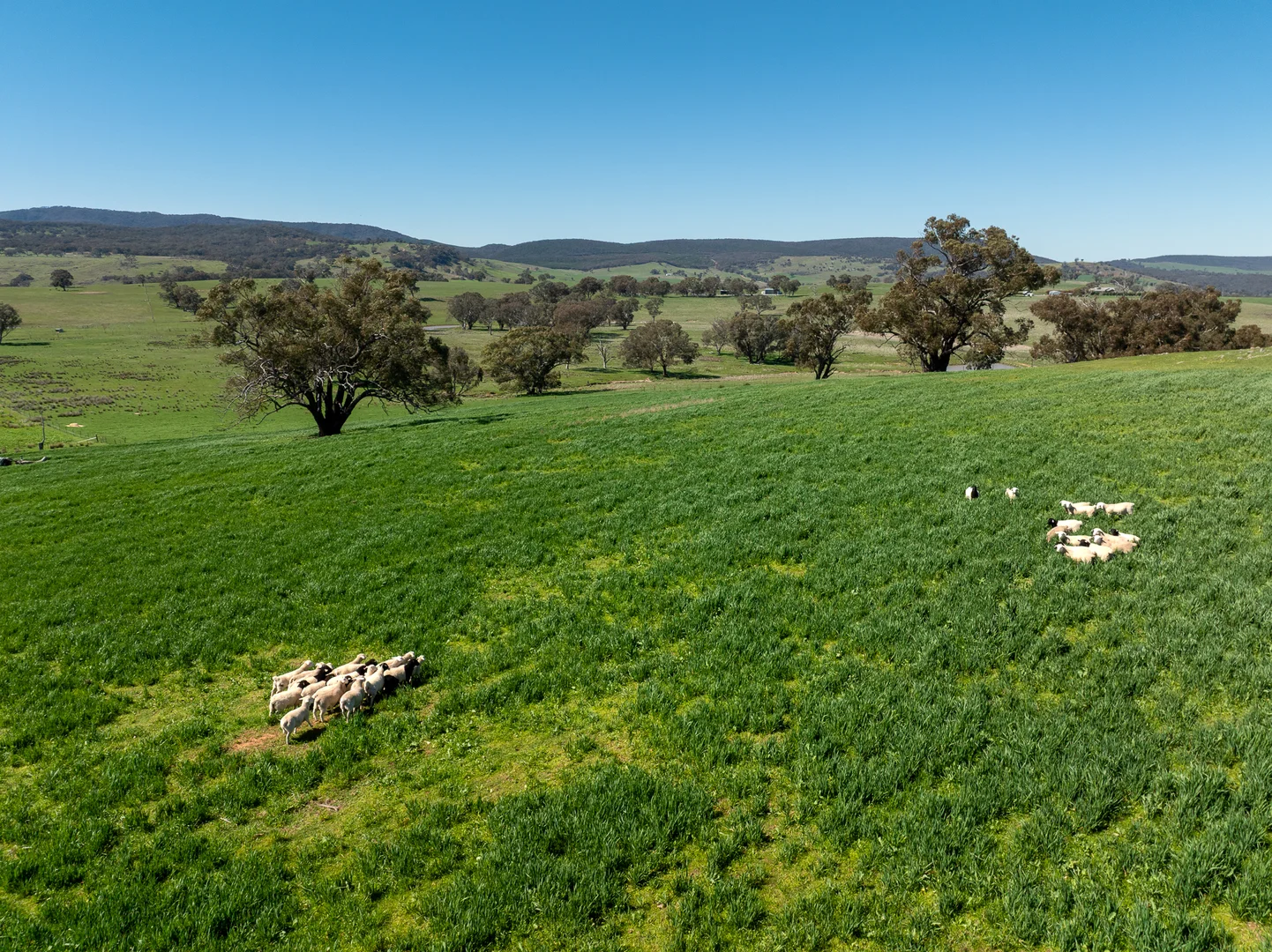 Additional image 21 of 2829 Cargo Road, Orange NSW 2800