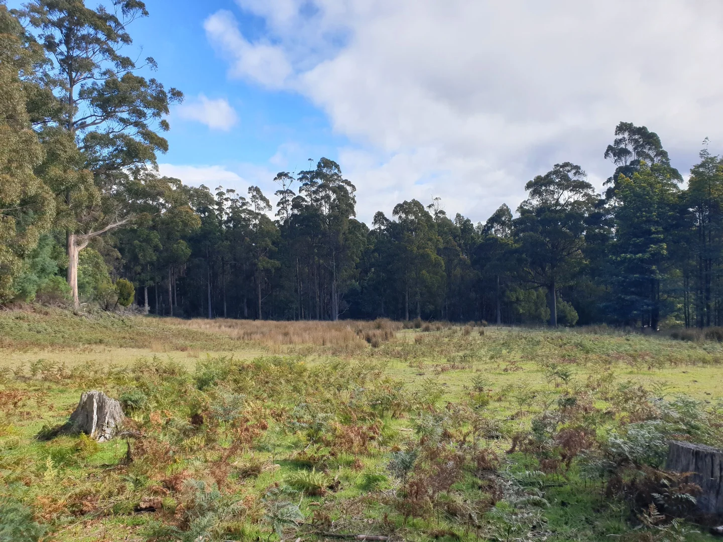 Additional image 13 of Lot 2 Huon Highway, Dover TAS 7117