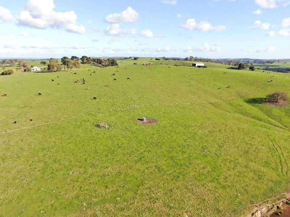 Additional image 13 of 180 Old Koonwarra-Meeniyan Road, Koonwarra VIC 3954