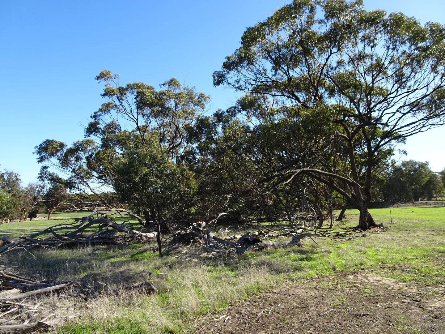 Additional image 34 of Shaddick Road, East Pingelly WA 6308