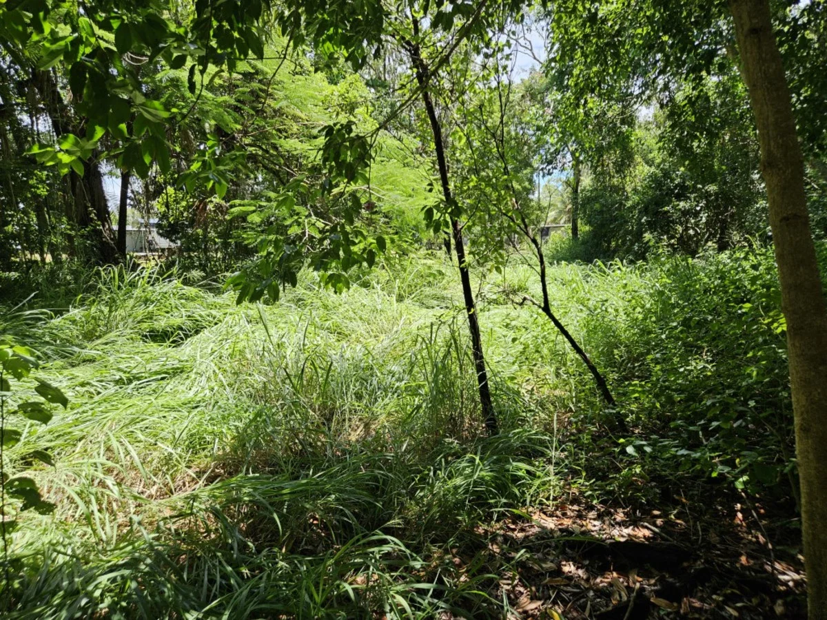 Additional image 9 of 16 Forrest Drive, Forrest Beach QLD 4850