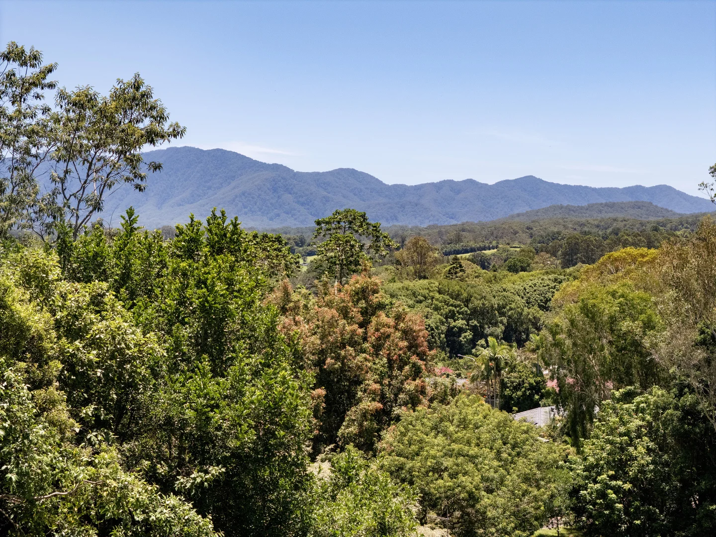 Additional image 4 of Lot 632/21C Endeavour Drive, Bellingen NSW 2454