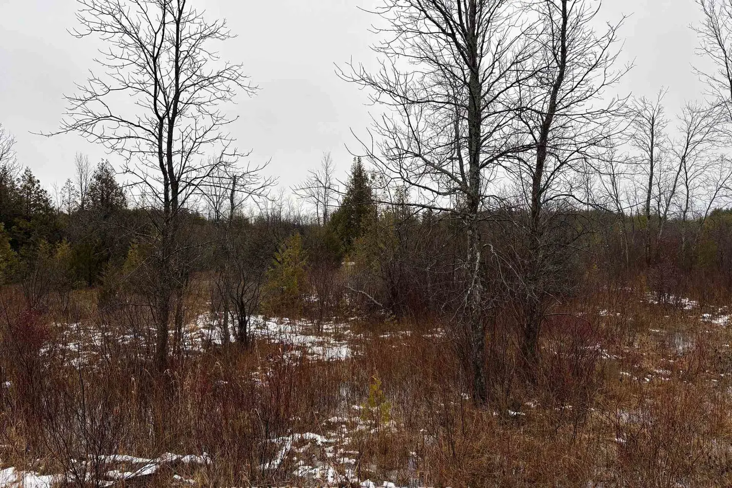 Additional image 4 of 0 6Th Concession Road