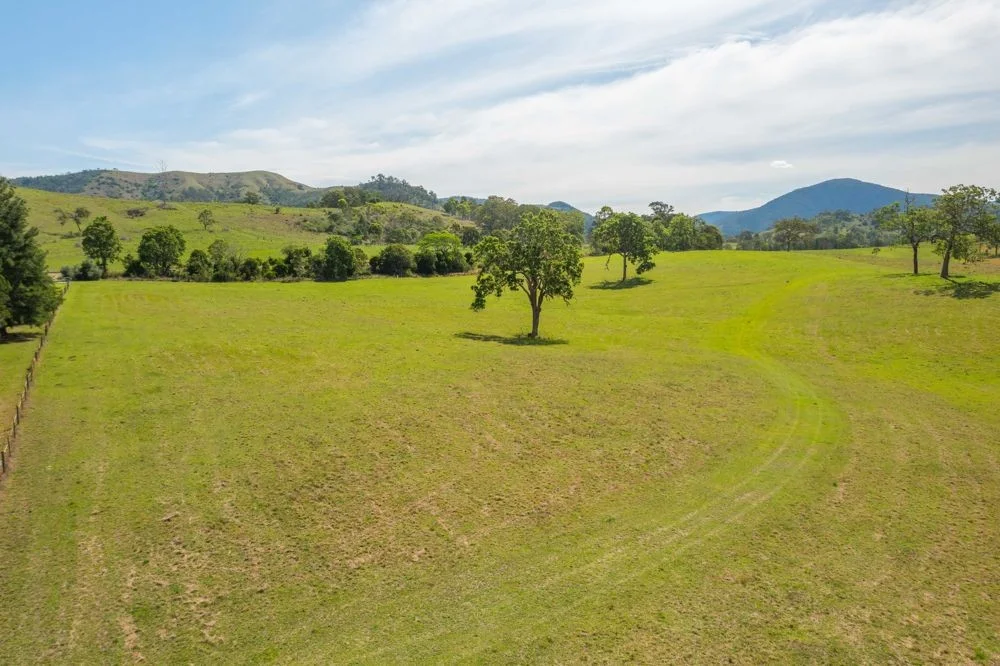Additional image 23 of 7276 Oxley Highway, Yarras NSW 2446