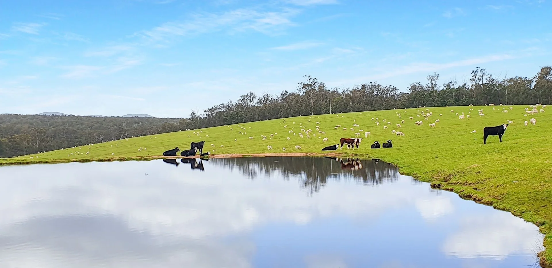 Additional image 11 of 151 Wattle Hill Road, Buchan South VIC 3885