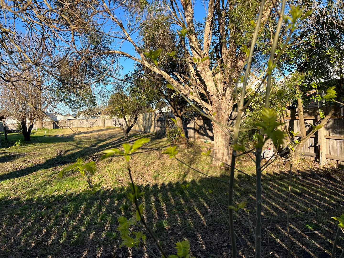 Additional image 5 of Lot 1, 128A 128A Tennyson Street, Orbost VIC 3888