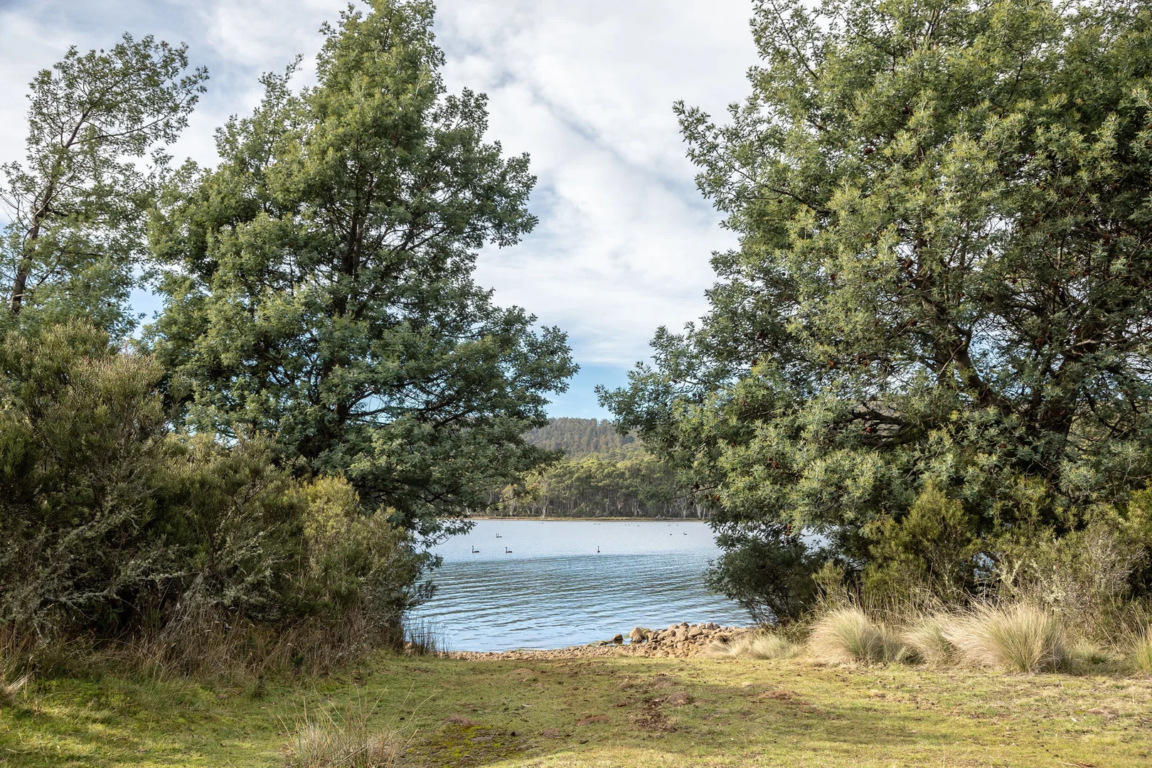 Additional image 7 of 1 & 2/172 Woodwards Bay Road, Bradys Lake TAS 7140