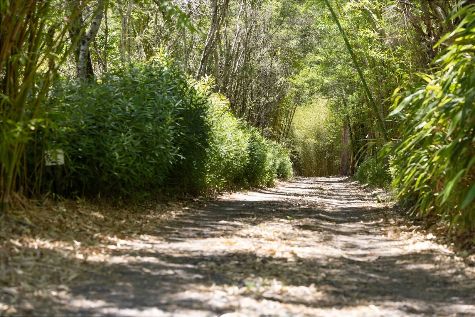 Additional image 11 of 1171 Eumundi - Kenilworth Road, Belli Park QLD 4562