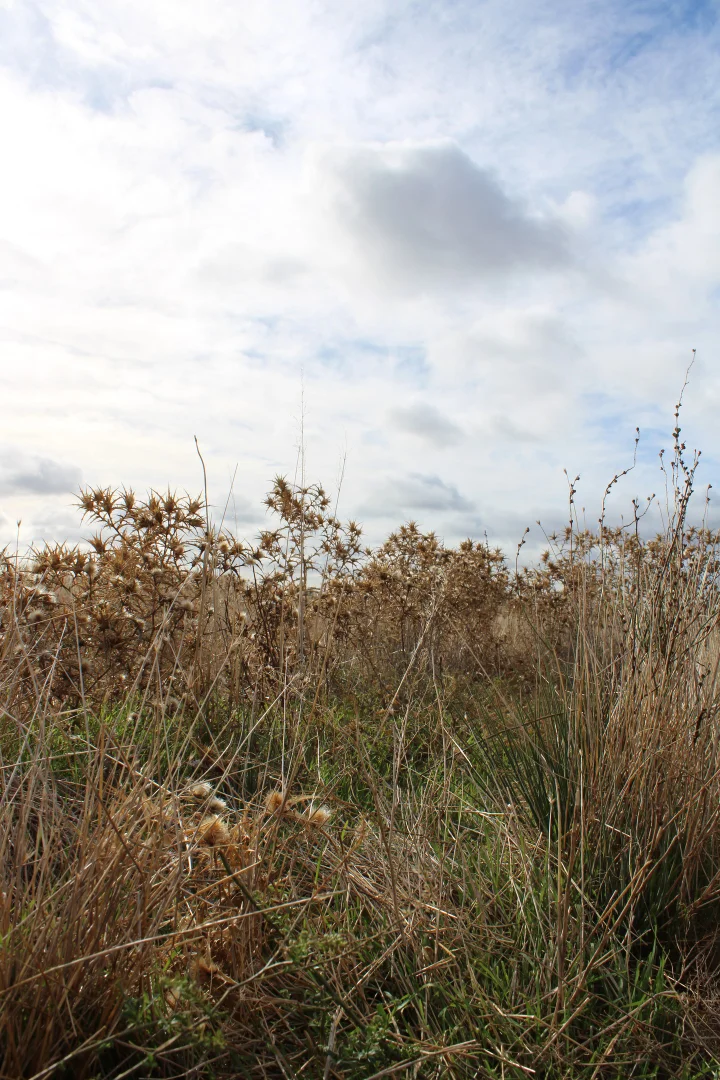 Additional image 53 of 1860 Cleary Road, Terowie SA 5421