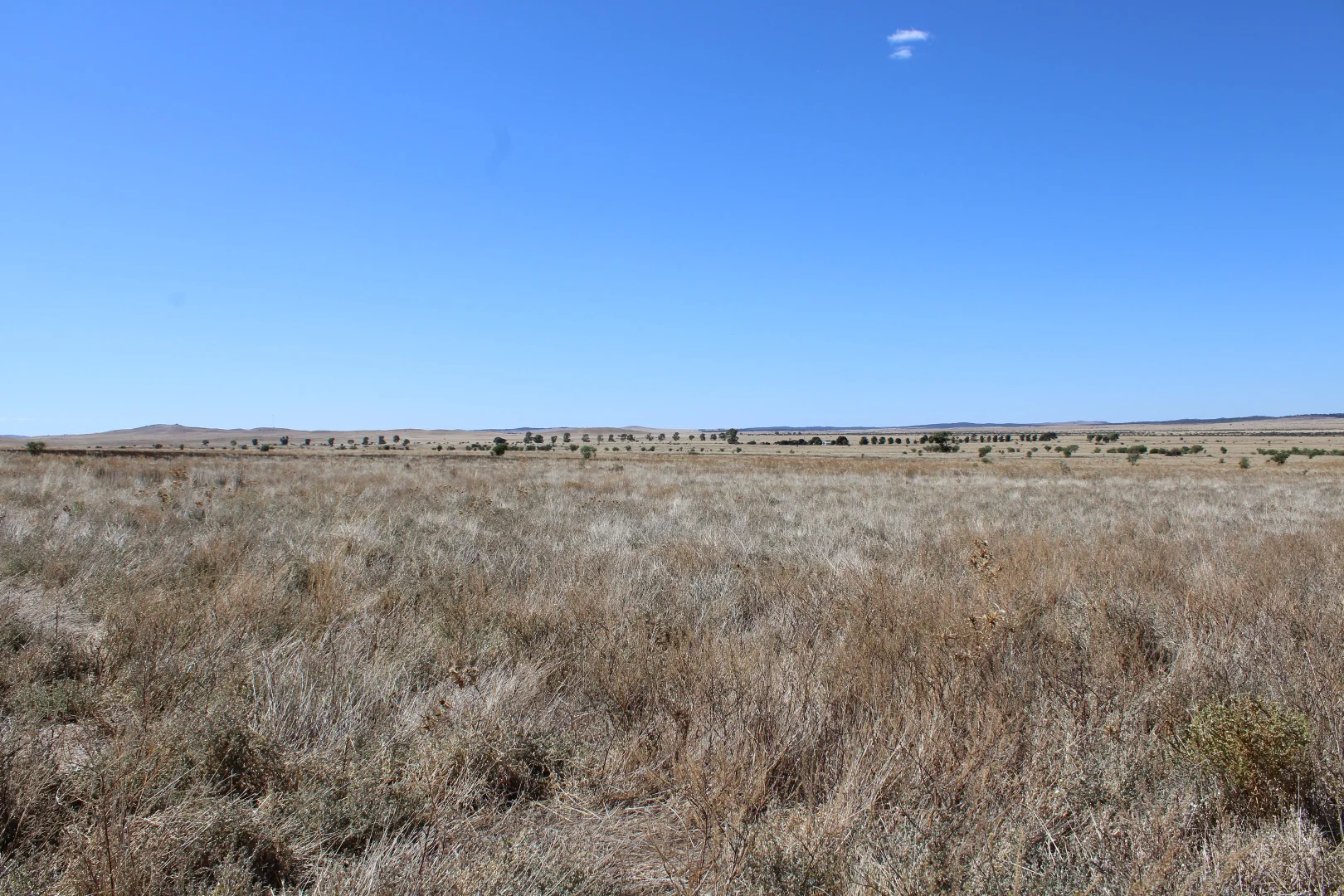 Additional image 2 of 1860 Cleary Road, Terowie SA 5421