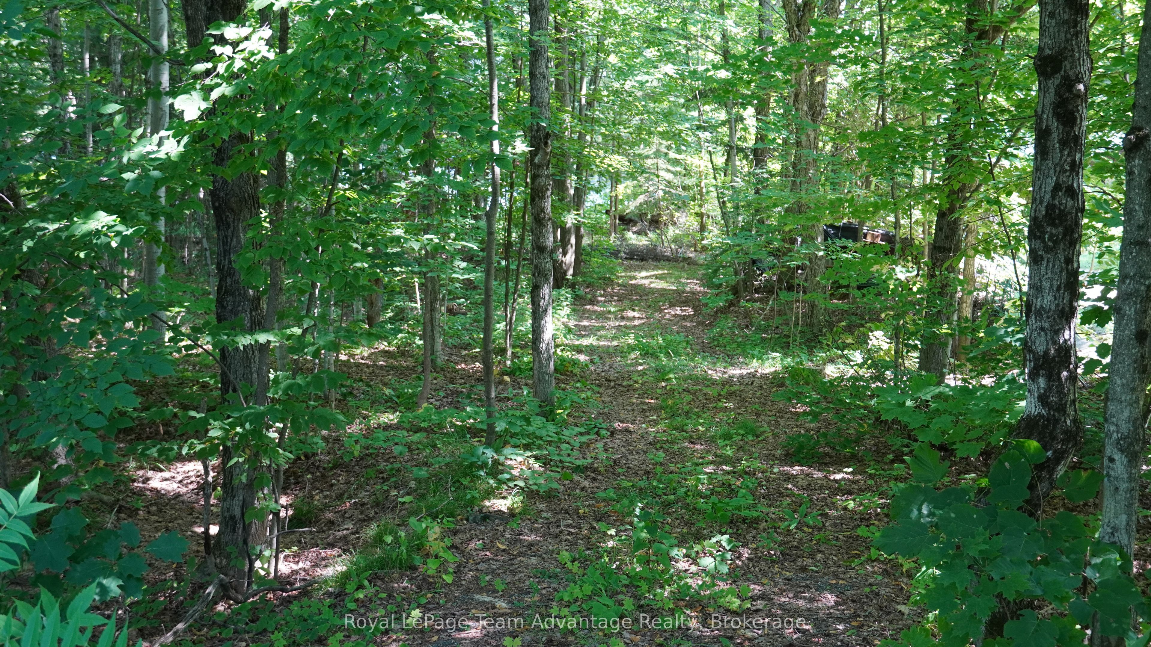 Additional image 5 of 25 Peninsula Shore Road E, Mcdougall, ON, P2A 2W9