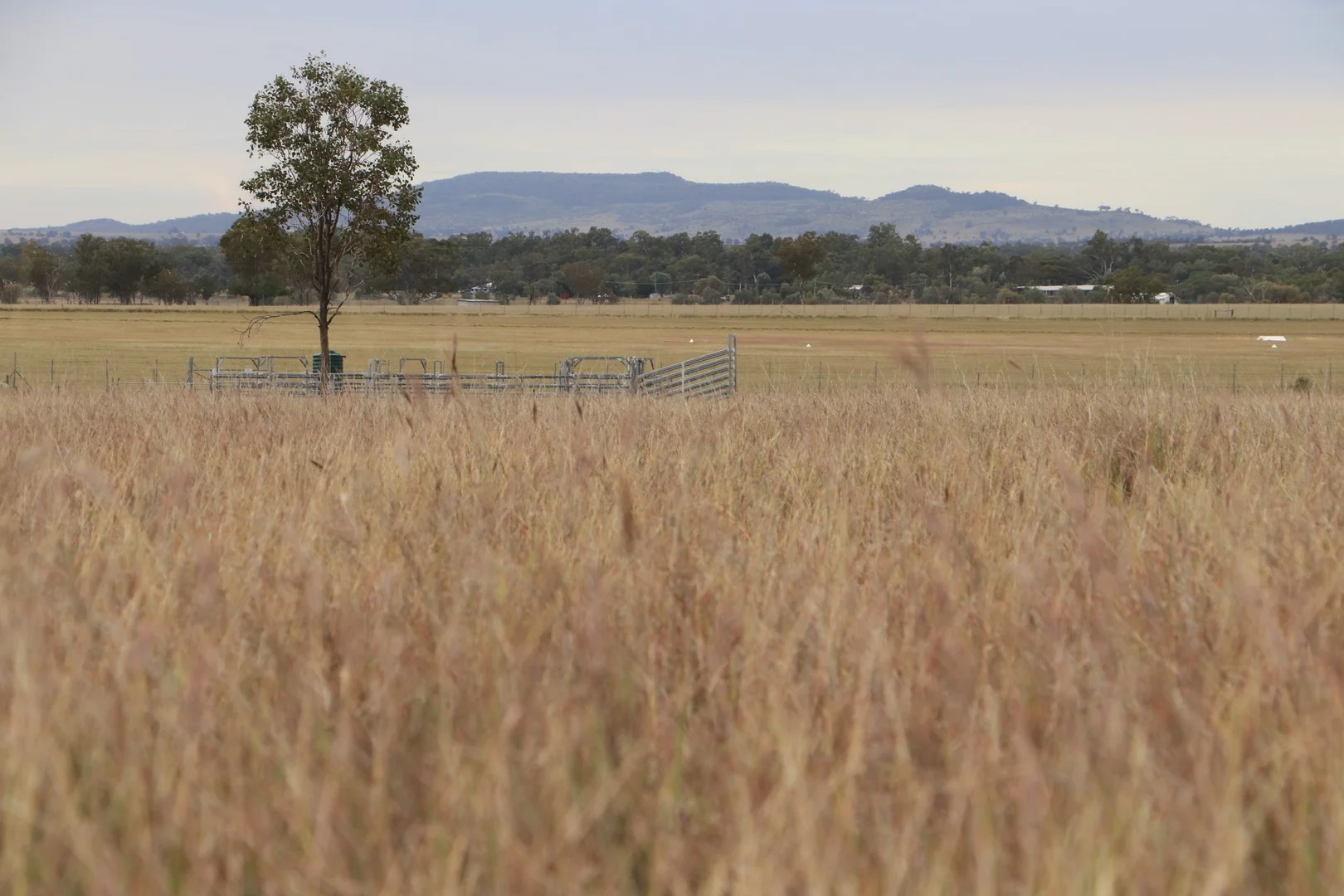 Additional image 2 of Ona Ona Road, Roma QLD 4455