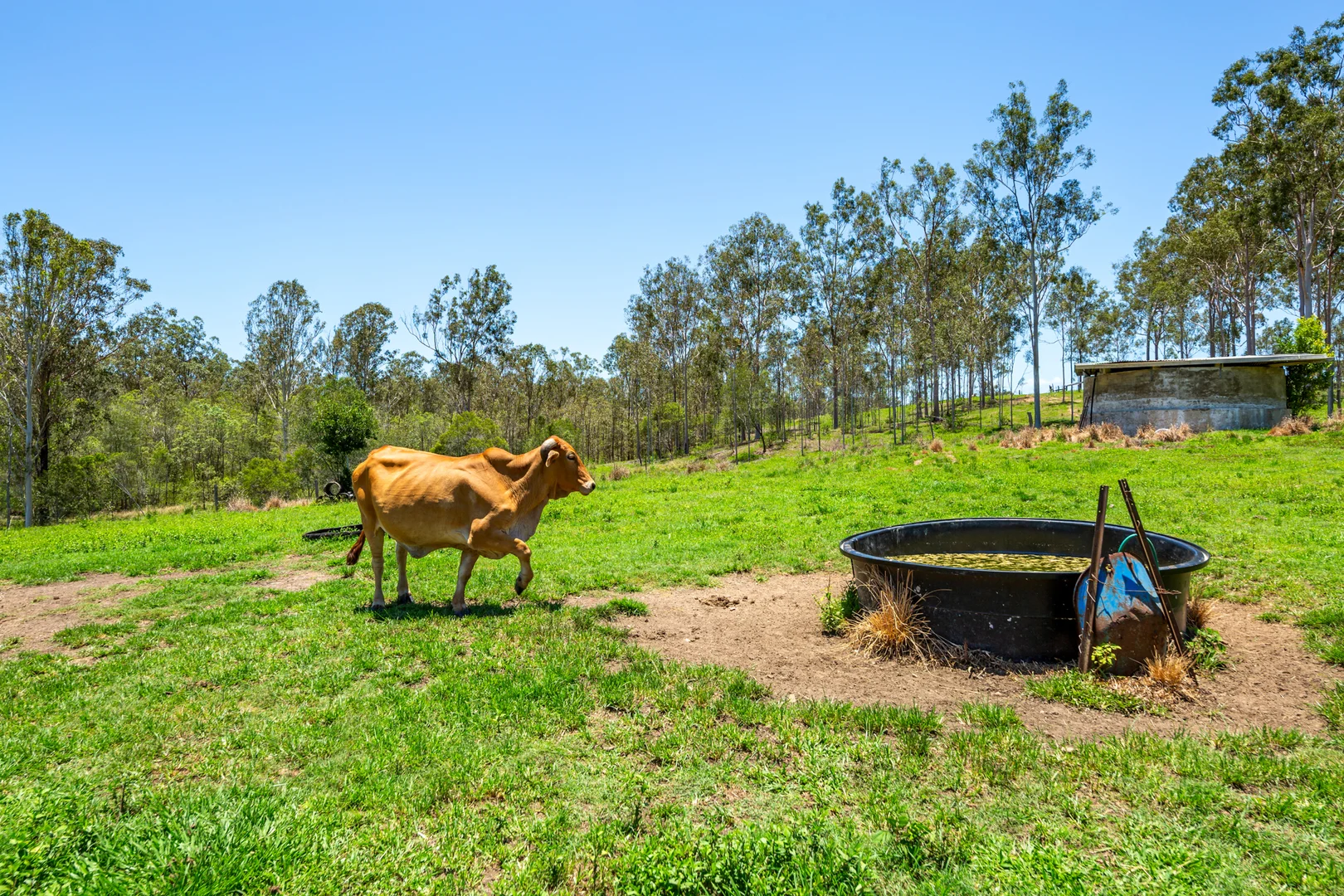 Additional image 22 of 42984 Bruce Highway, Colosseum QLD 4677