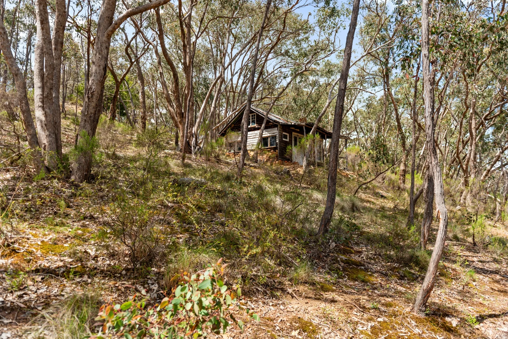 Additional image 3 of 20 Miners Hut Road, Chewton Bushlands VIC 3451