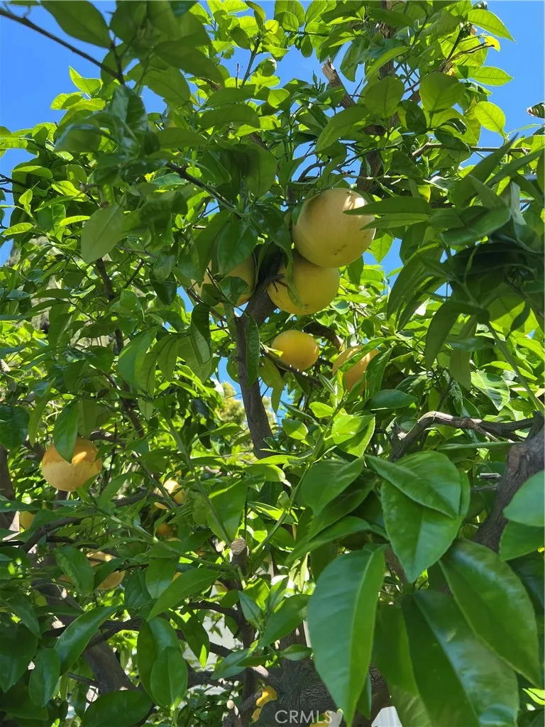 Additional image 117 of 11508 Old River School Road, Downey, CA 90241