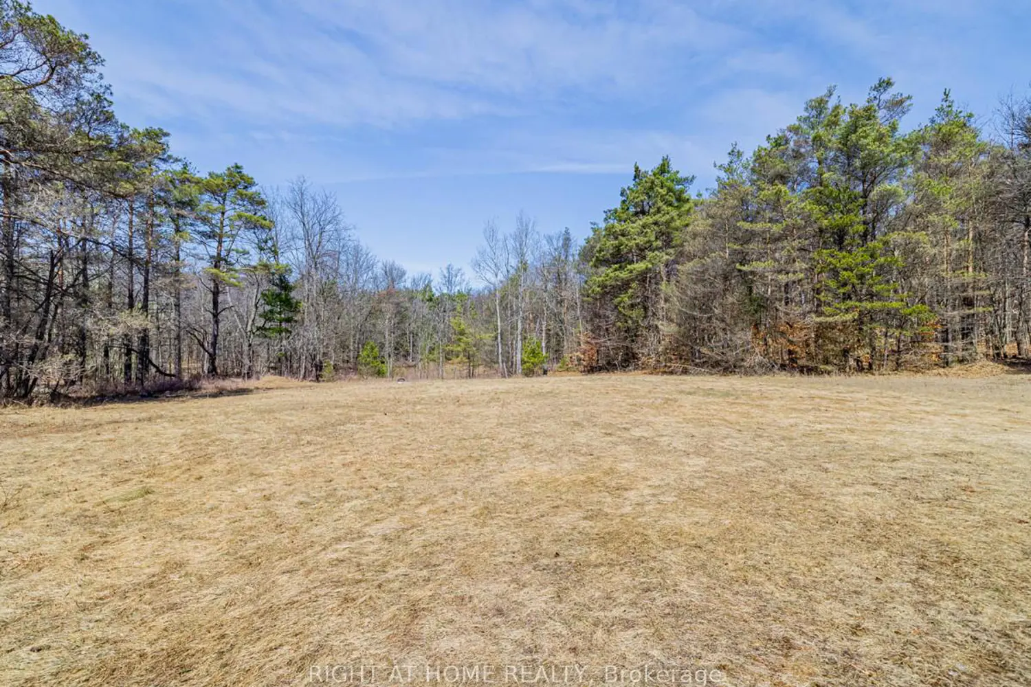 Additional image 15 of 4282 Vivian Road