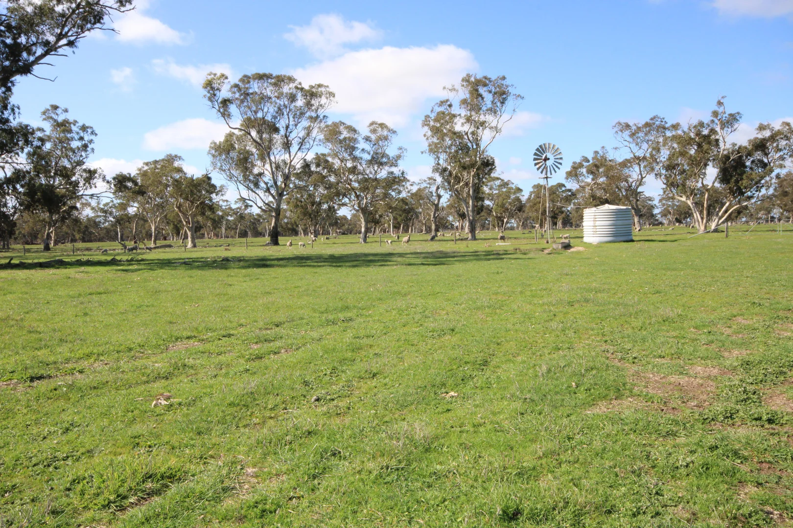 Additional image 21 of 202 Malones Road, Naracoorte SA 5271