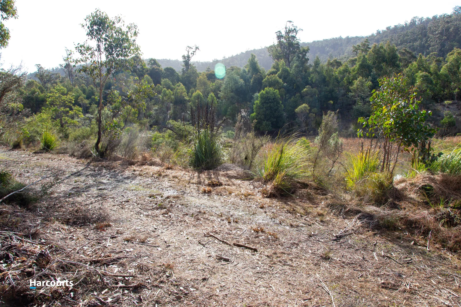 Additional image 10 of 623 Denison Road, Lonnavale TAS 7109