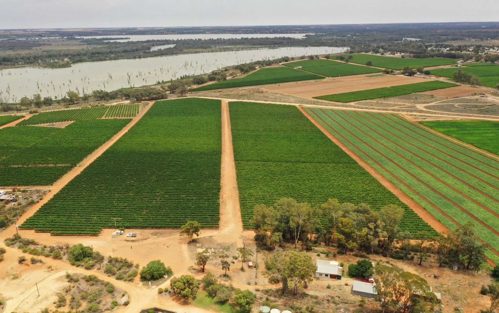 151 ELEPHANT TRUNK ROAD, Cobdogla SA 5346