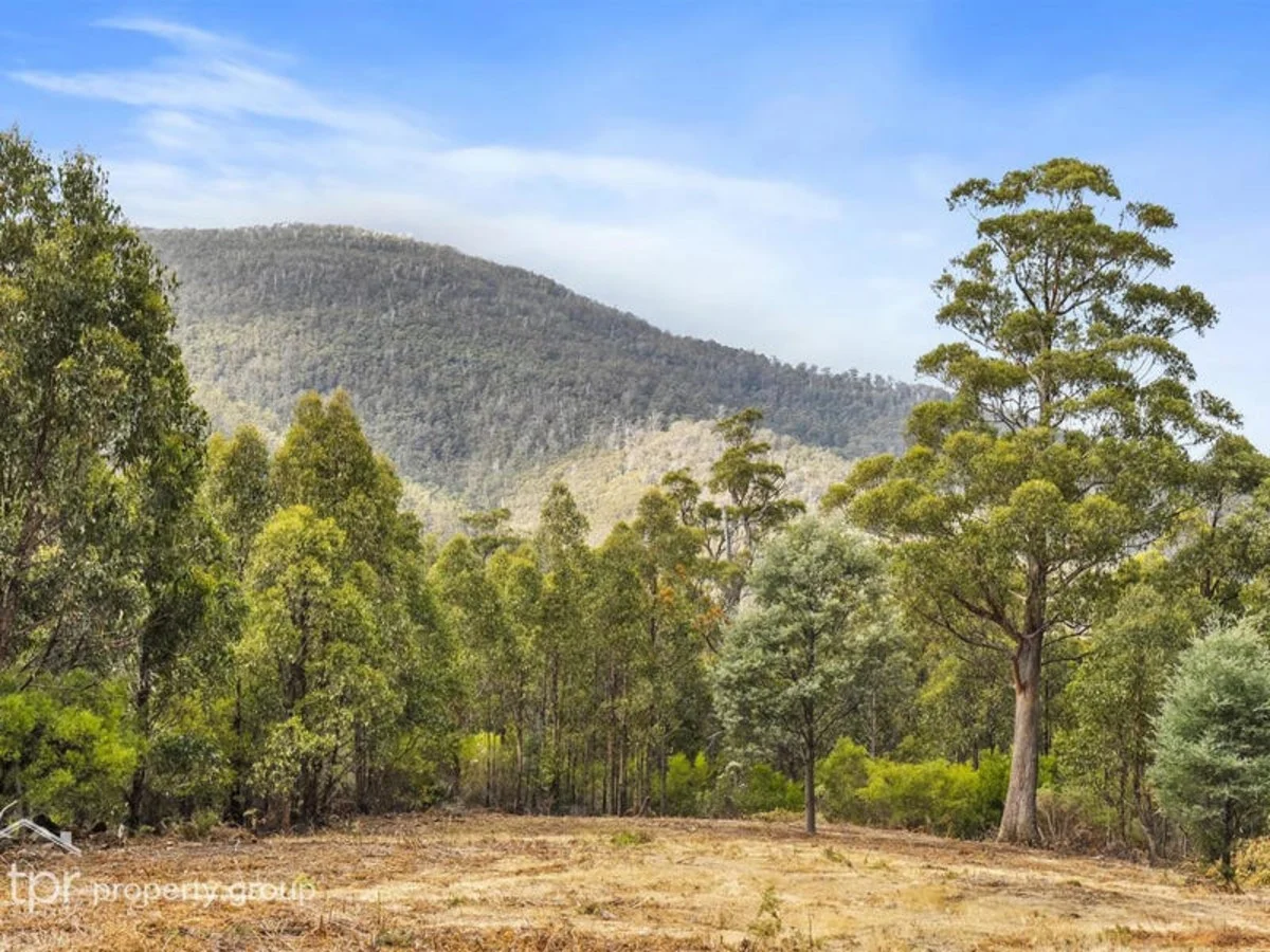 Additional image 3 of Lot 1 Bygraves Road, Crabtree TAS 7109