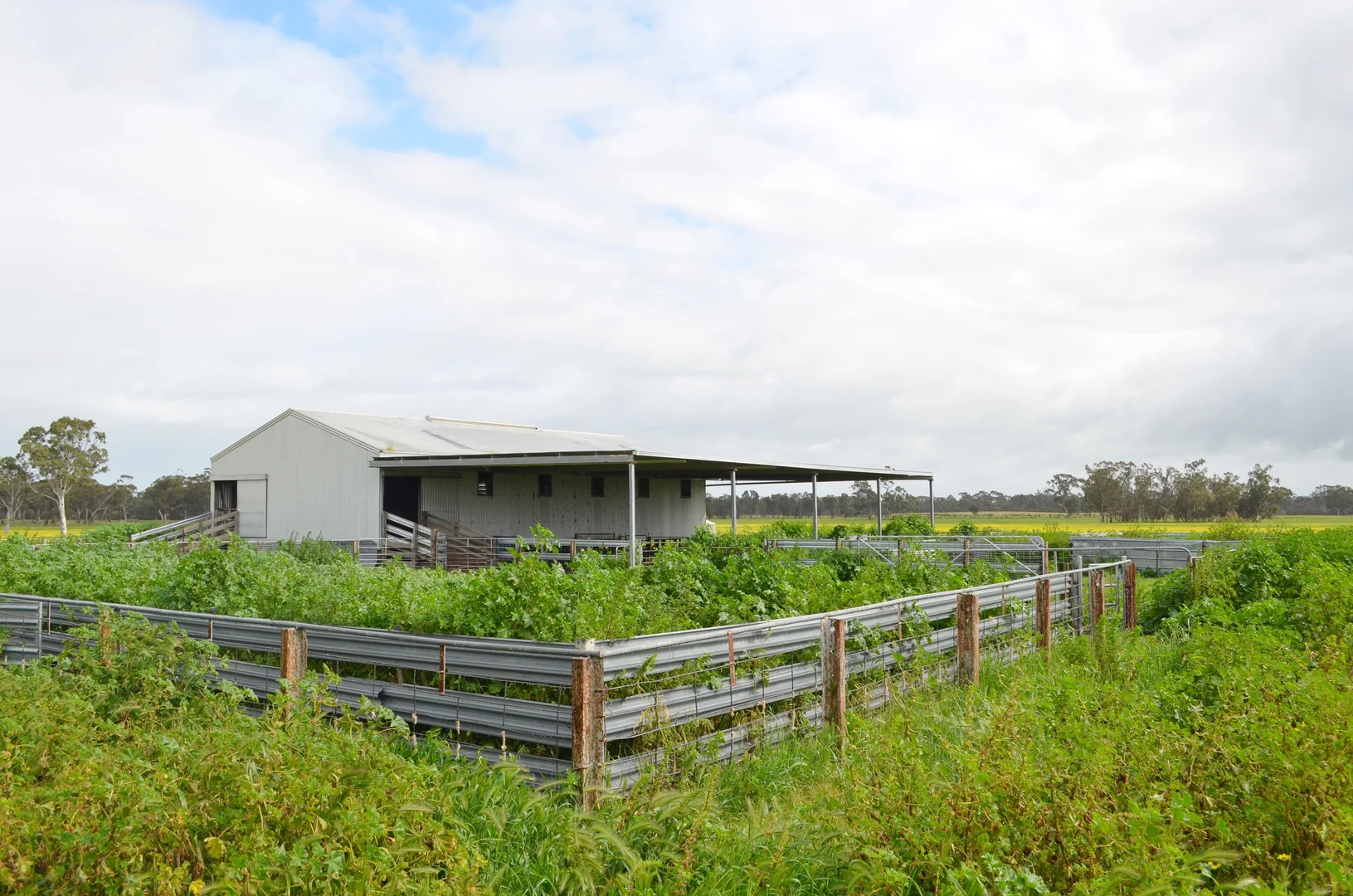 Additional image 14 of 260 Burns Munn Road, Edenhope VIC 3318