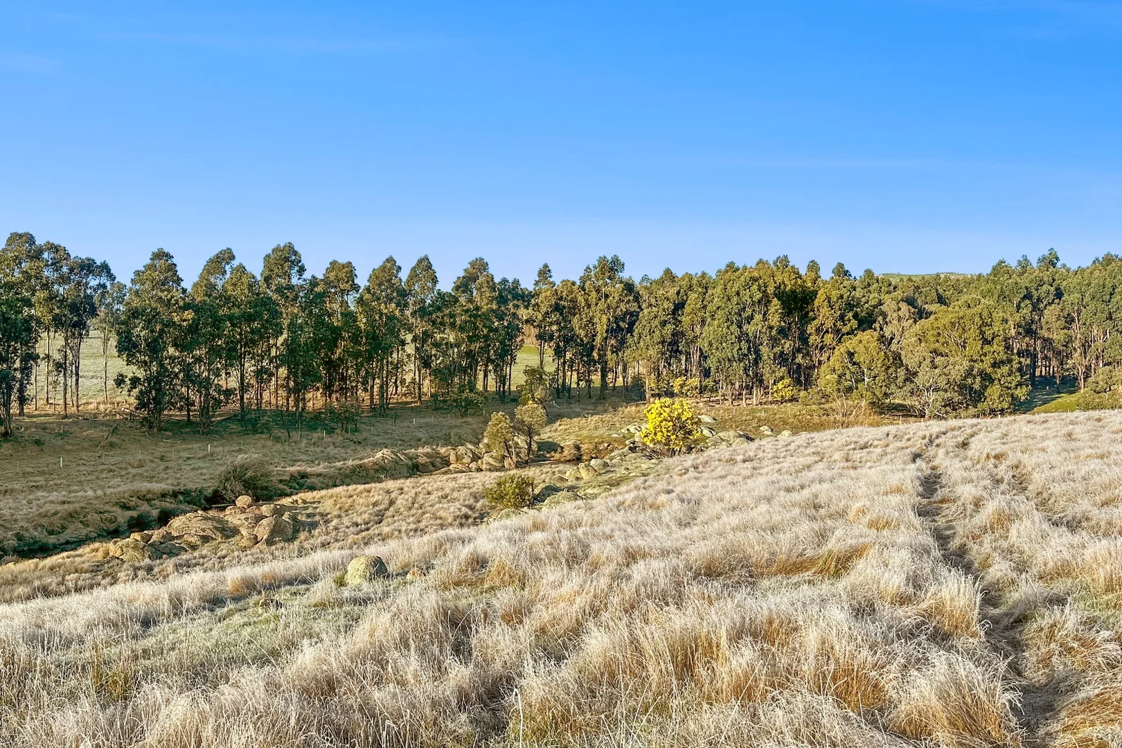 Additional image 16 of Lot 15G/362 Watchbox Road, Barfold VIC 3444