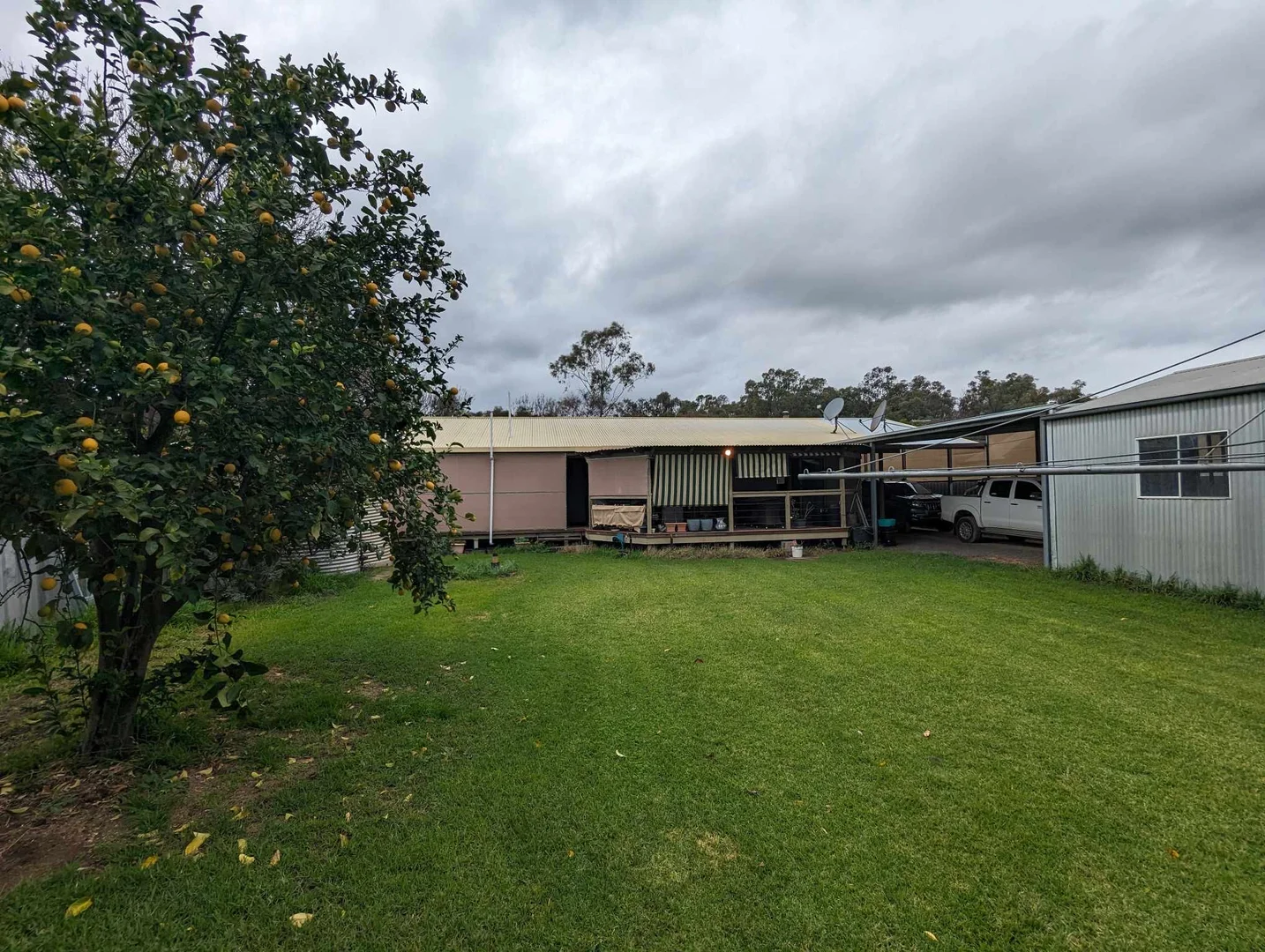 Additional image 3 of 7 Yang Yang, Maude NSW 2711