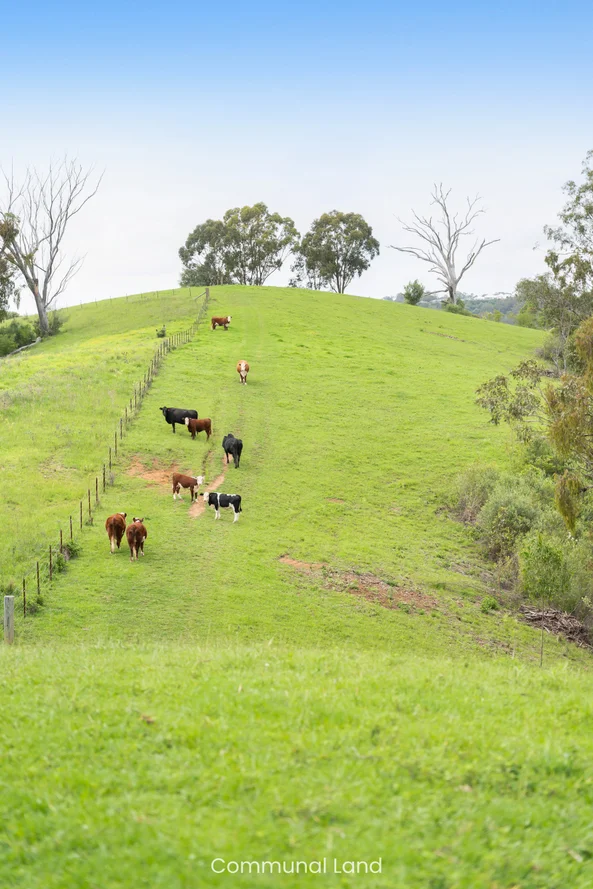 Additional image 41 of 10 Alexander Way, Mount Hunter NSW 2570