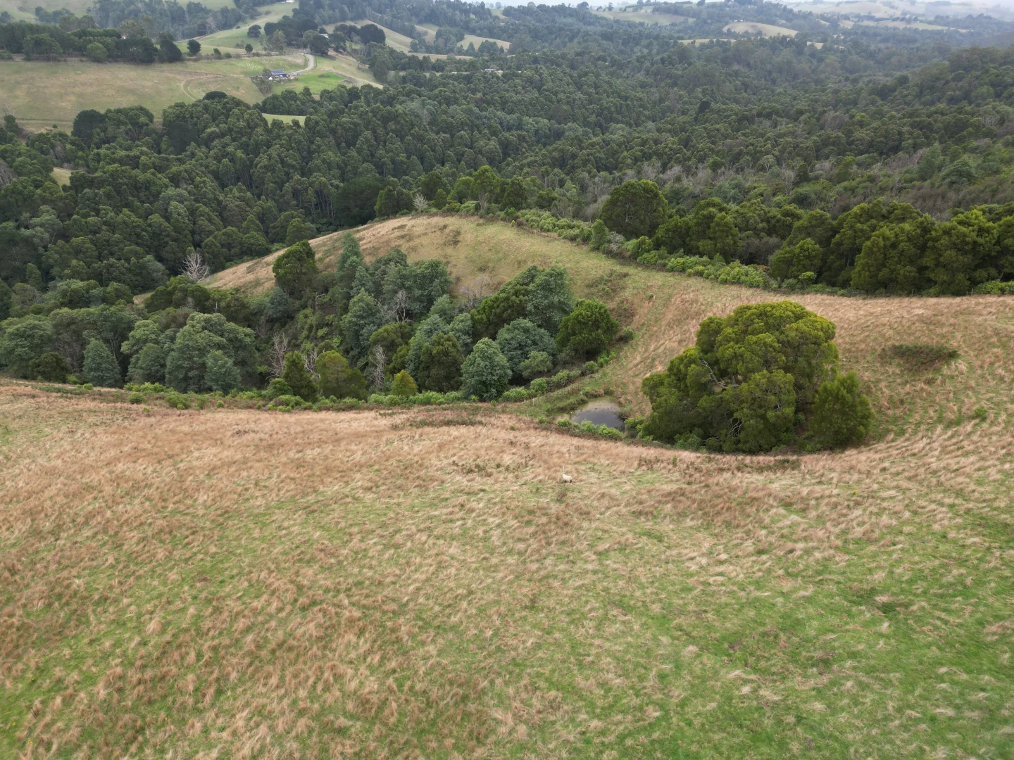 Additional image 3 of 478 Foster-Mirboo Road, Dollar VIC 3871