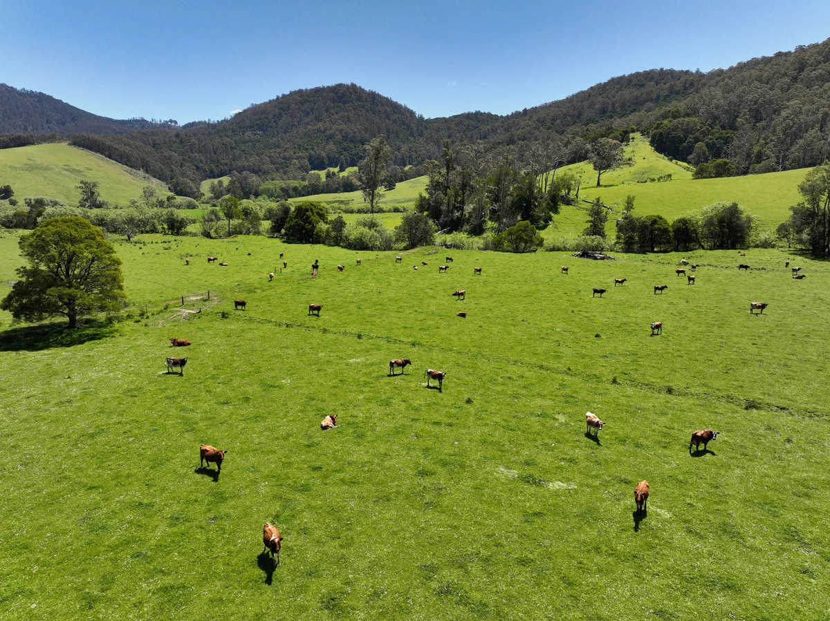 Additional image 6 of 569 St Columba Falls Road, Pyengana TAS 7216