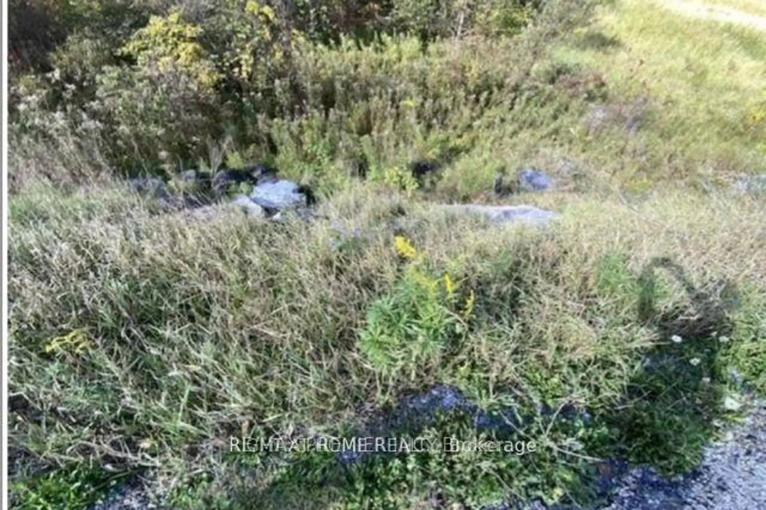 Additional image 3 of Pt Con 5 Pt Lot 5 Road