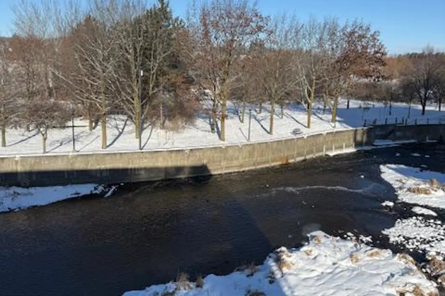 19 Guelph Avenue 308