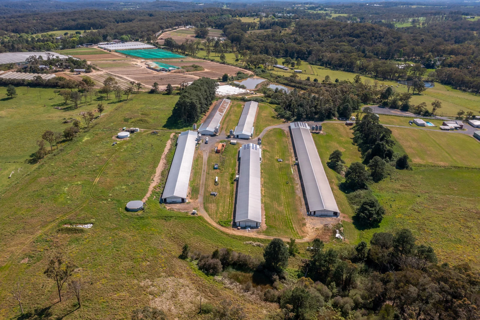 Additional image 10 of 66 Lombardy Road, Mangrove Mountain NSW 2250