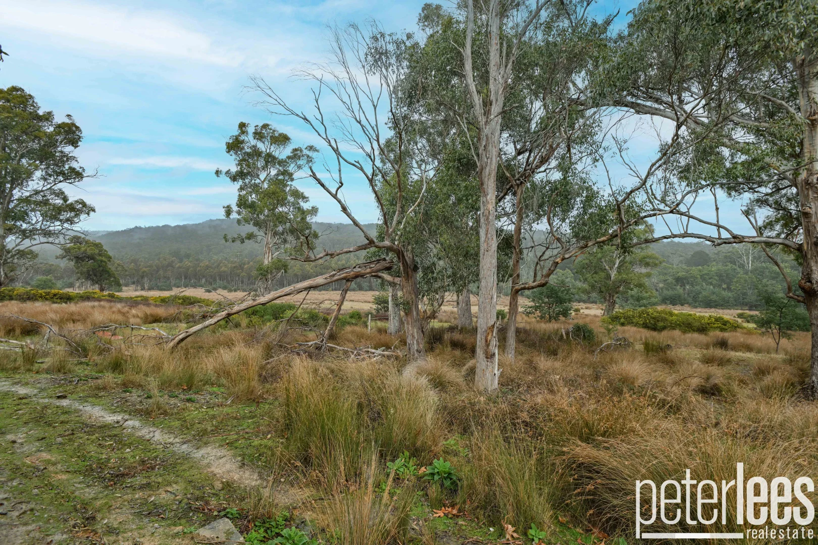 Additional image 15 of 3719 West Tamar Highway, Beaconsfield TAS 7270
